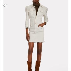 The Puffer Bruiser Denim Mini Dress